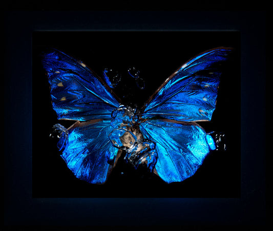 Transparency of a dream - 15 artists proofs