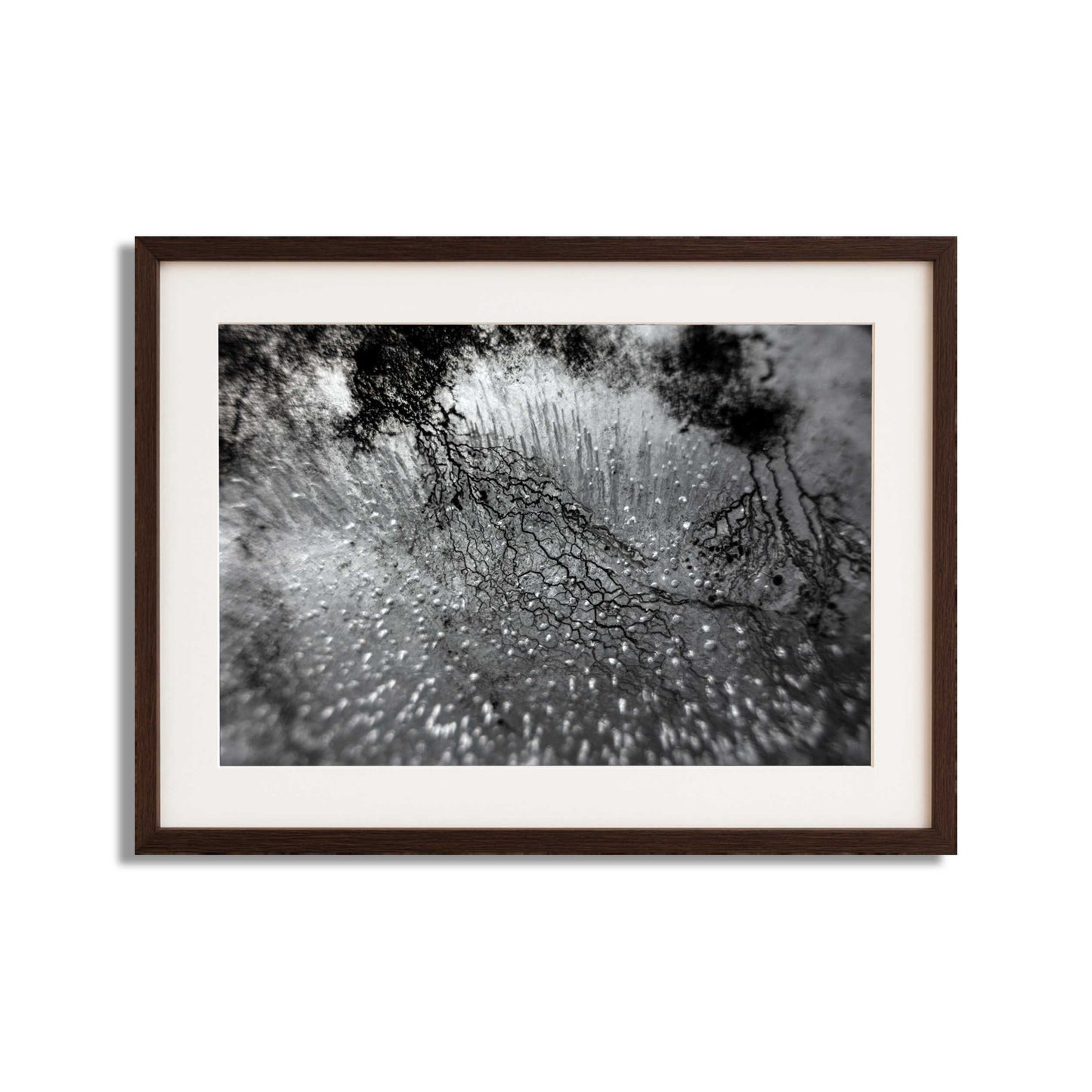 Enthalpy of fusion ´Plate No. 00882´ photographic print - €2300 | Shop now & buy direct from the artists studio - Distil Ennui ™ est.1990.