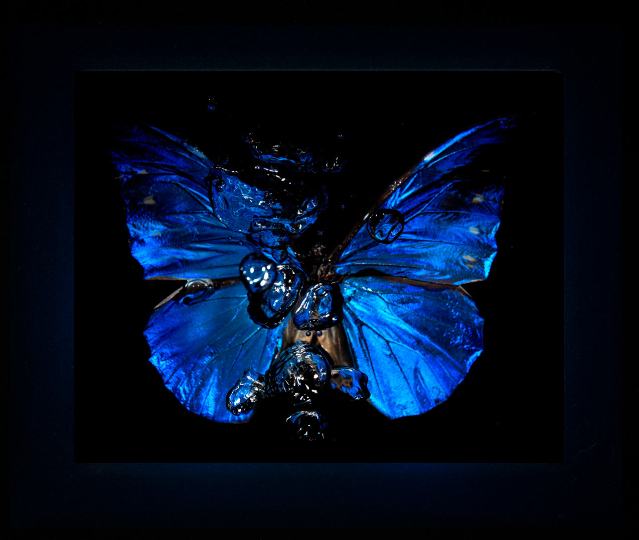 Transparency of a dream illuminated. Plate X photographic print - €6950 | Shop now & buy direct from the artists studio - Distil Ennui ™ est.1990.