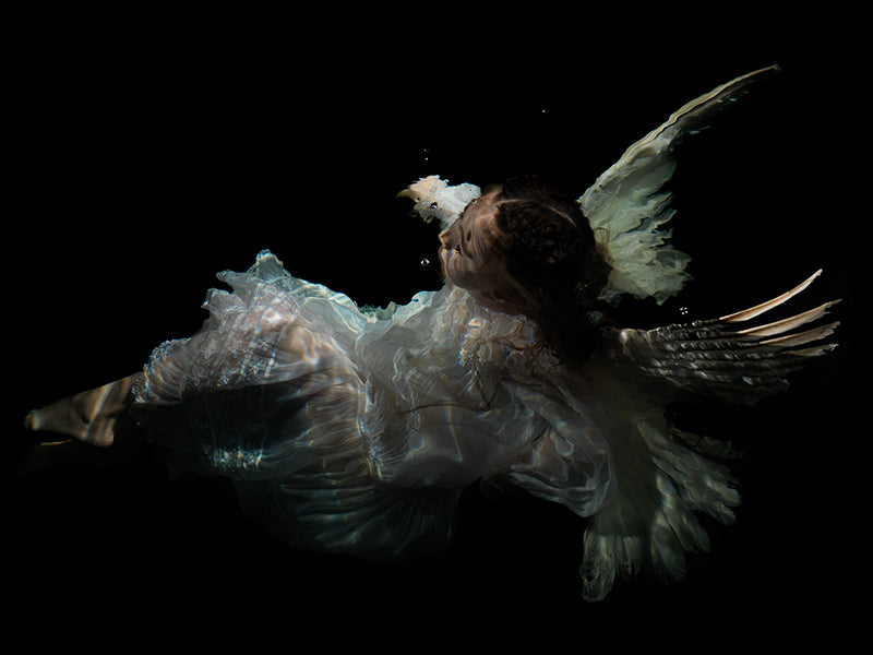 Chromatic Convergence: Underwater Mythical Photography Series
