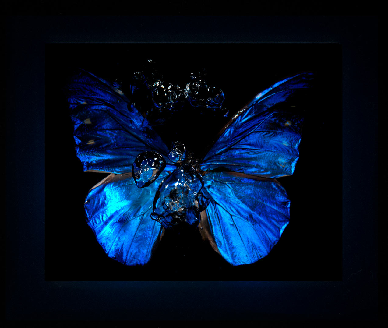 Transparency of a dream illuminated. Plate XI photographic print - €6950 | Shop now & buy direct from the artists studio - Distil Ennui ™ est.1990.