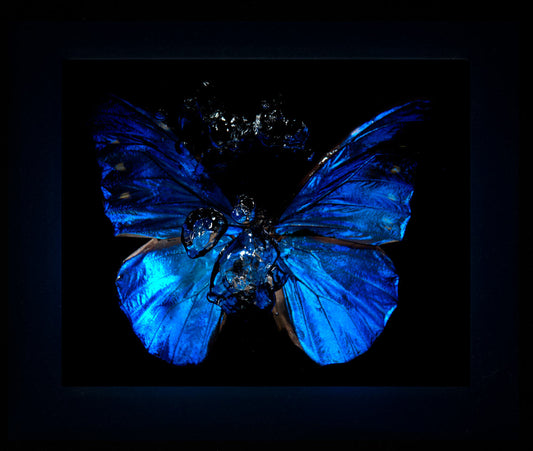 Transparency of a dream illuminated. Plate XI  photographic print - €6950 | Shop now & buy direct from the artists studio - Distil Ennui ™ est.1990.