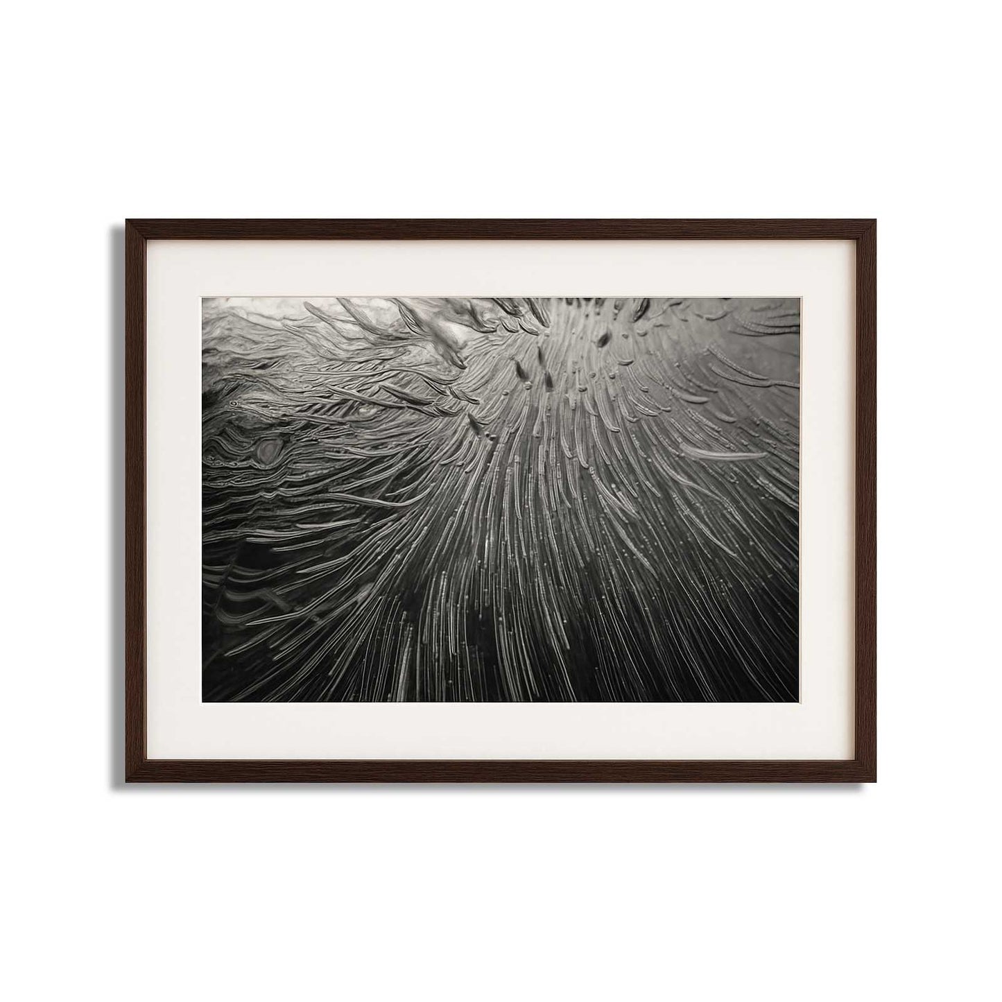 Enthalpy of fusion ´Plate No. 01176´ photographic print - €2300 | Shop now & buy direct from the artists studio - Distil Ennui ™ est.1990.