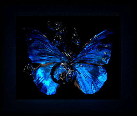 Transparency of a dream illuminated. Plate XII  photographic print - €6950 | Shop now & buy direct from the artists studio - Distil Ennui ™ est.1990.