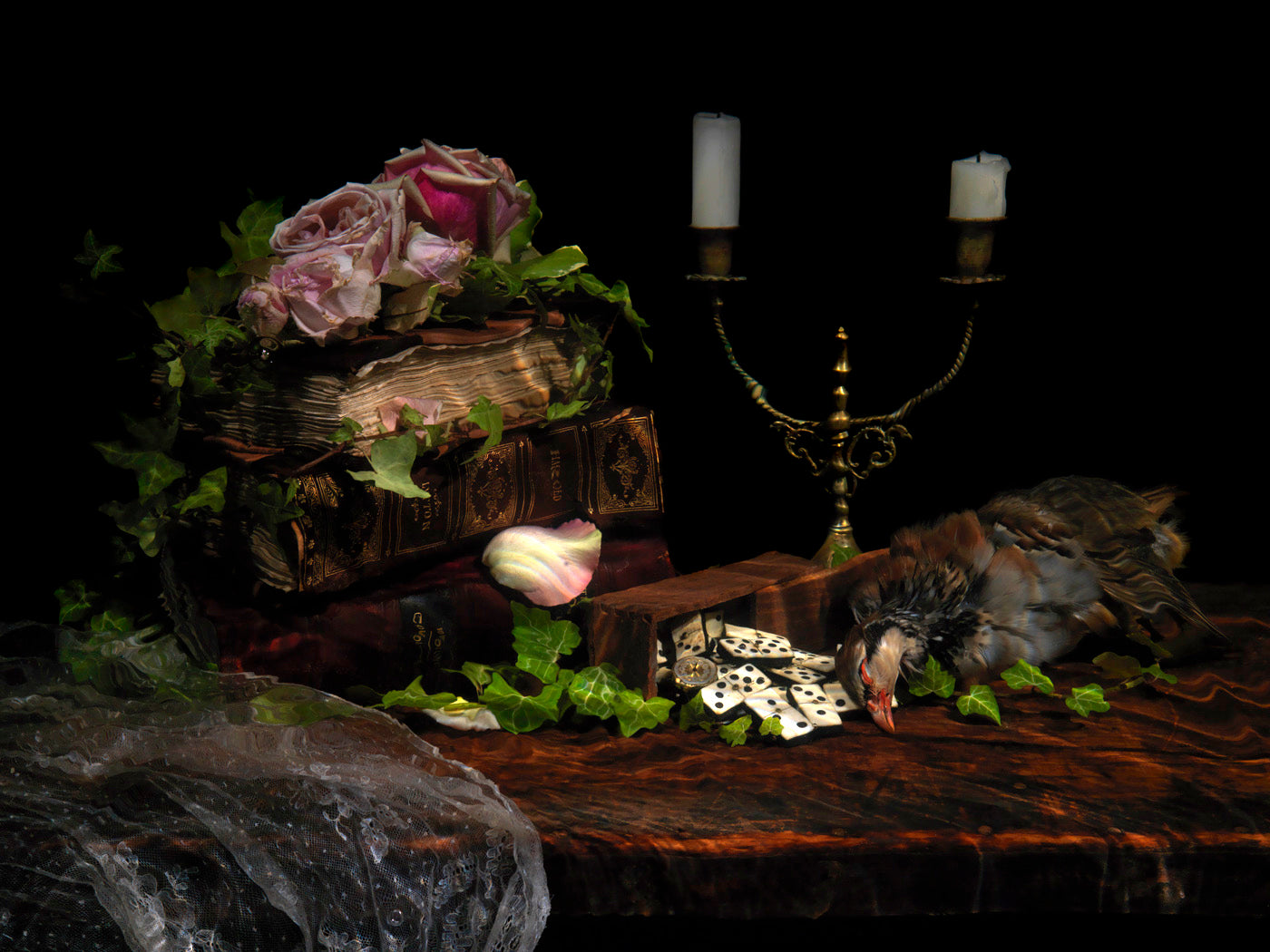 Untitled 5253, underwater Vanitas still life photograph photographic print - €3200 | Shop now & buy direct from the artists studio - Distil Ennui ™ est.1990.