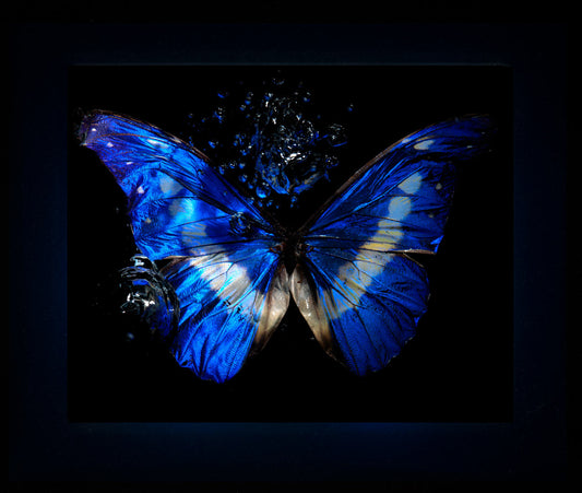 Transparency of a dream illuminated. Plate XIII  photographic print - €6950 | Shop now & buy direct from the artists studio - Distil Ennui ™ est.1990.