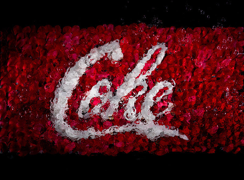 seeing the coca cola coke brand in a new light a modern corporate vanias