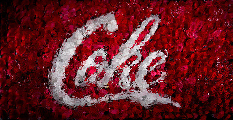 Artists using corporate ecocide as motivation to create new inspiring works to provoke dialogue