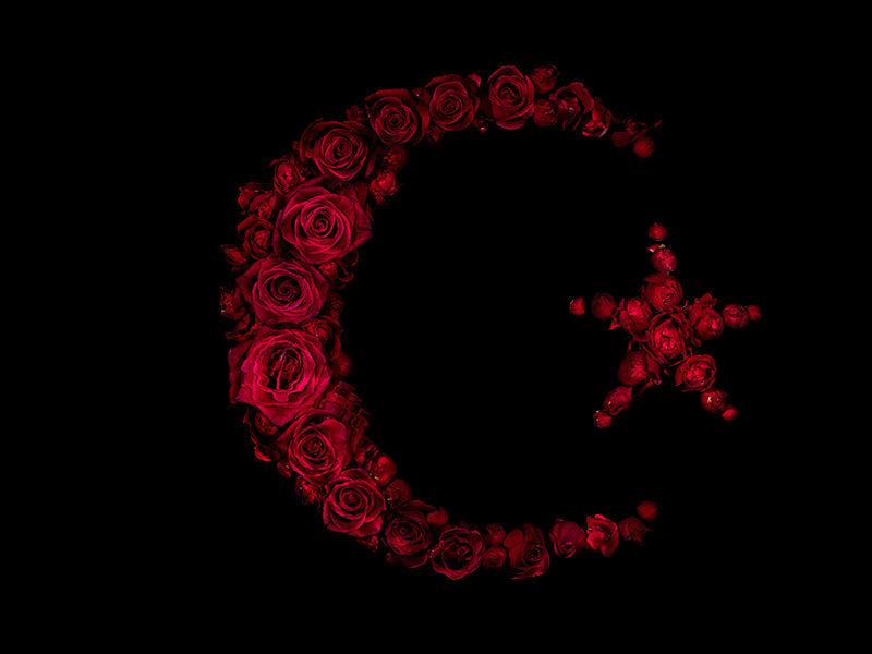 Media in Bloom Single Floral Specimens Embodying Global Brands