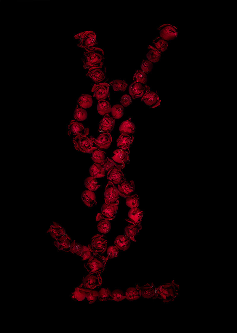 Global Brand Elegance Single Floral Specimens Submerged