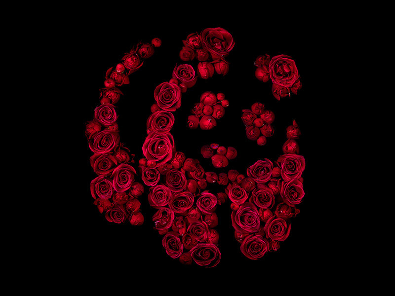 Floral Fame Single Specimens Embodying Media and Celebrity