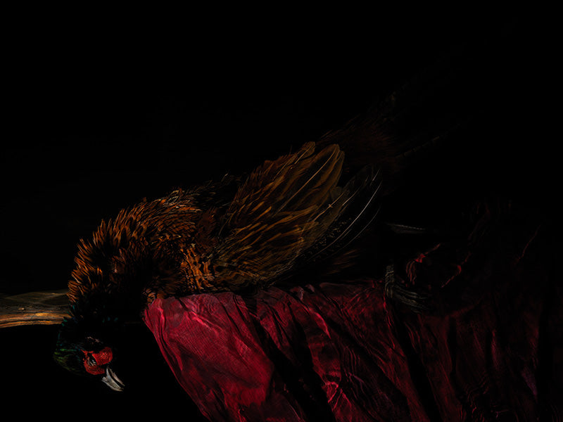 an underwater vanitas scene traditional and yet contemporary