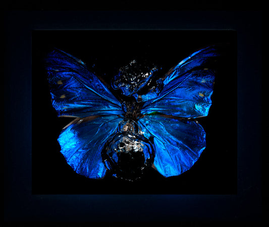 Transparency of a dream illuminated. Plate XIV  photographic print - €6950 | Shop now & buy direct from the artists studio - Distil Ennui ™ est.1990.