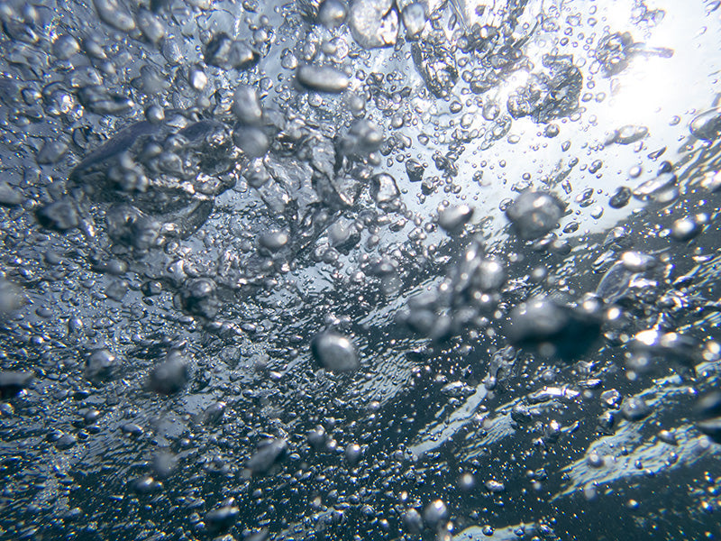High-Resolution Underwater Bubble Images for Download