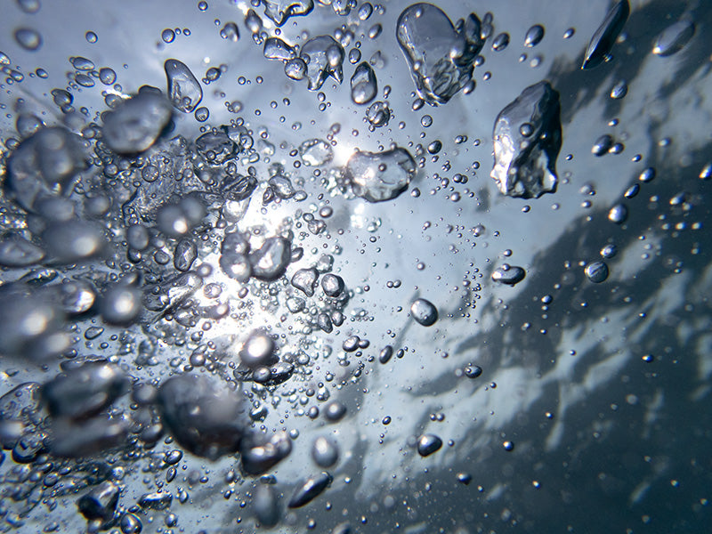 The Science and Art of Underwater Bubble Photography Rising Air