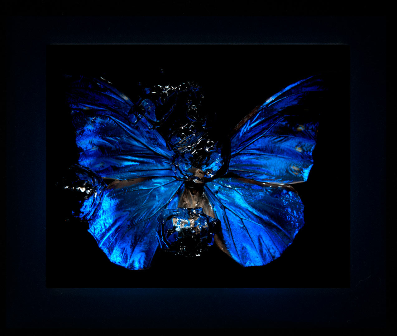 Transparency of a dream illuminated. Plate XV photographic print - €6950 | Shop now & buy direct from the artists studio - Distil Ennui ™ est.1990.