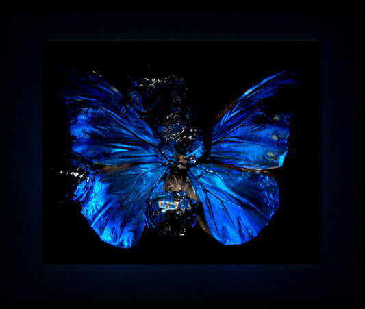 Transparency of a dream illuminated. Plate XV  photographic print - €6950 | Shop now & buy direct from the artists studio - Distil Ennui ™ est.1990.