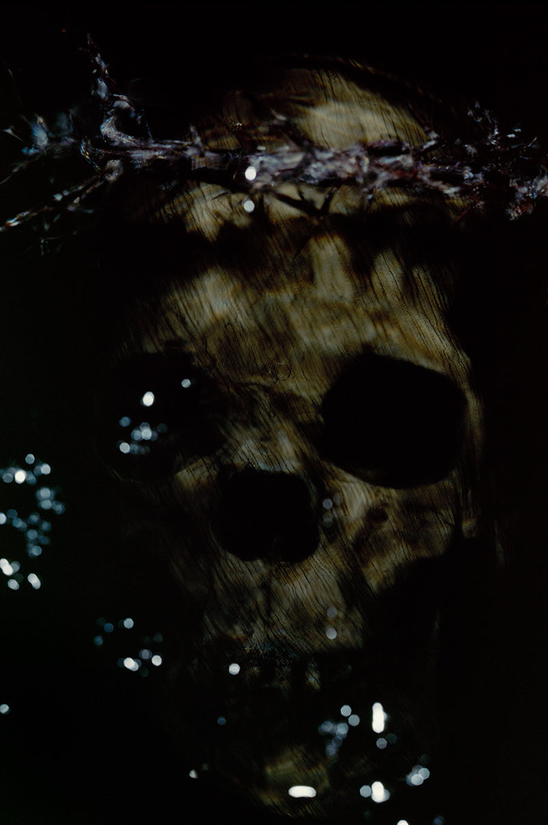 a veiled skull under water with a crown of thorns