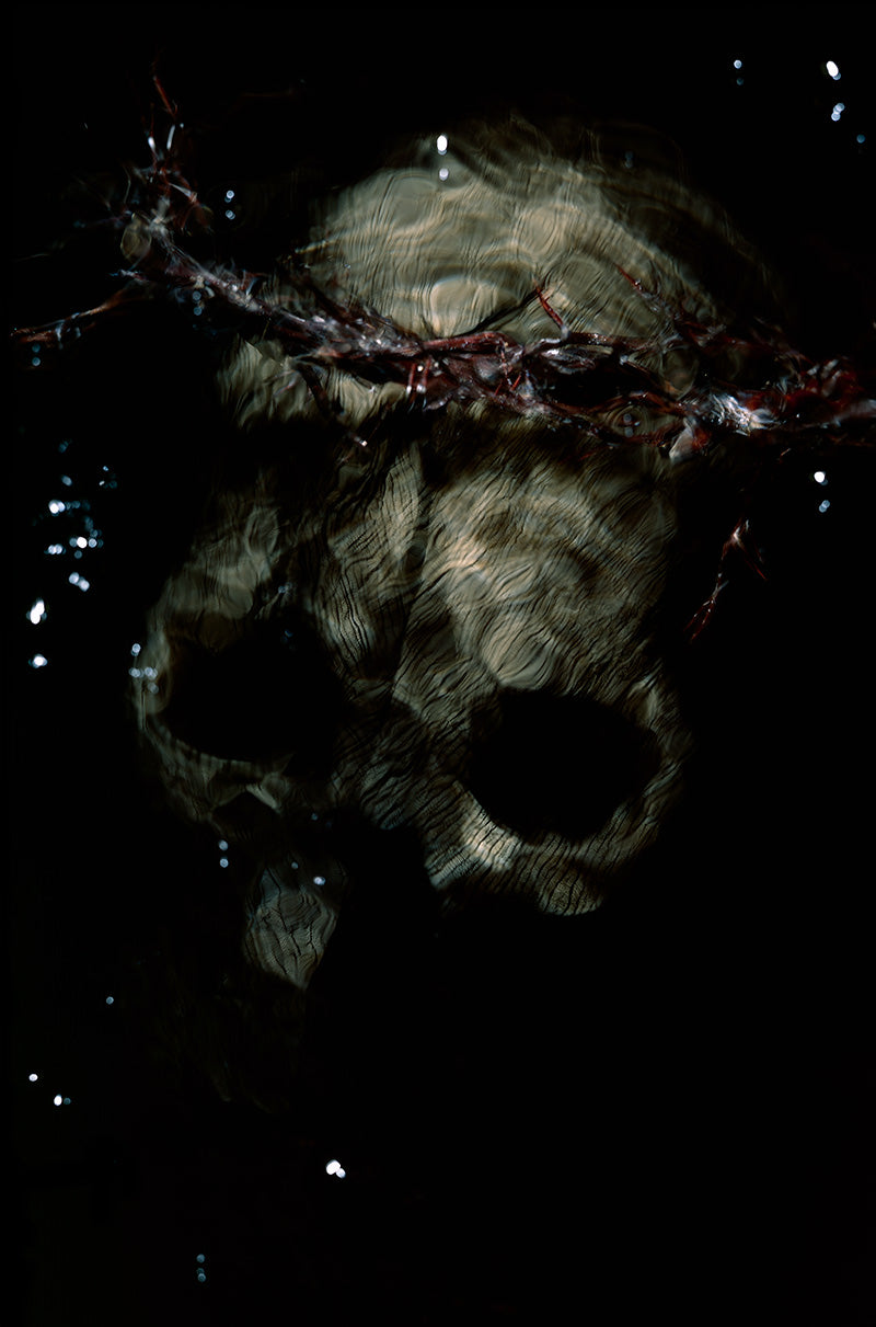 a poetically veiled skull with a ring crown of thorns