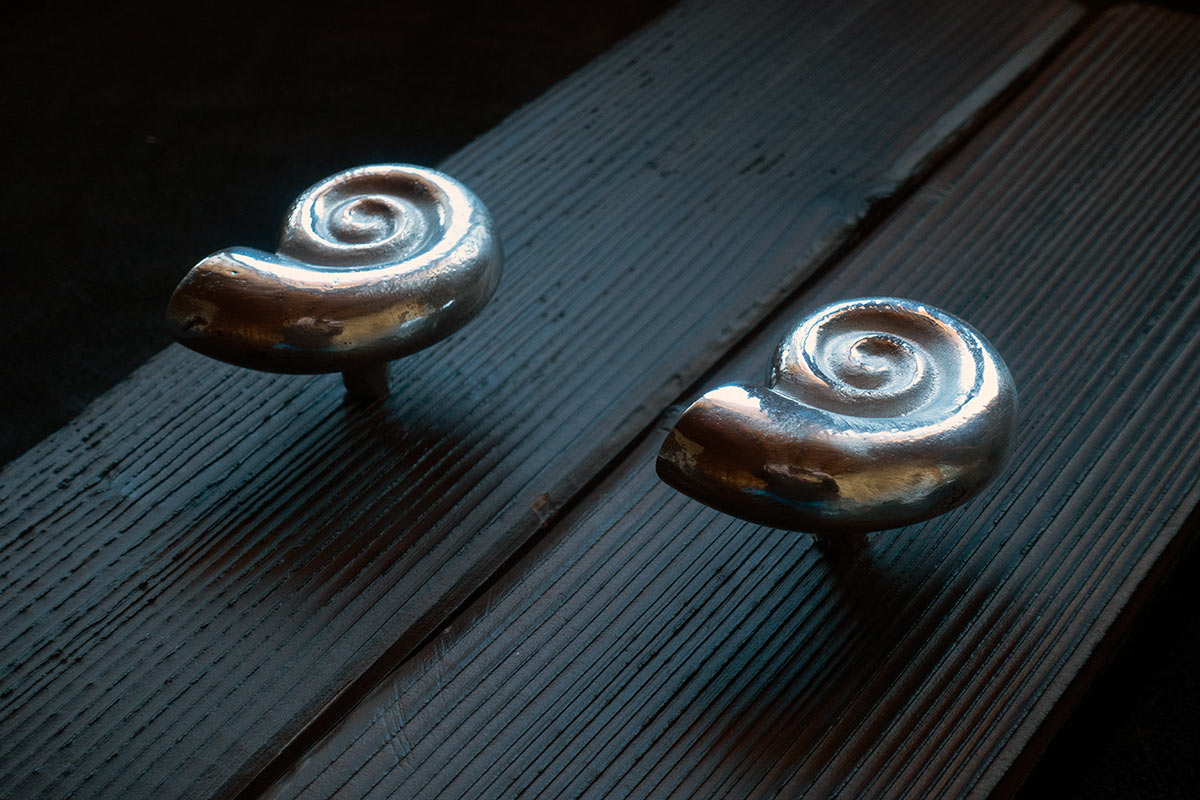 Small and large seashell drawer knobs
