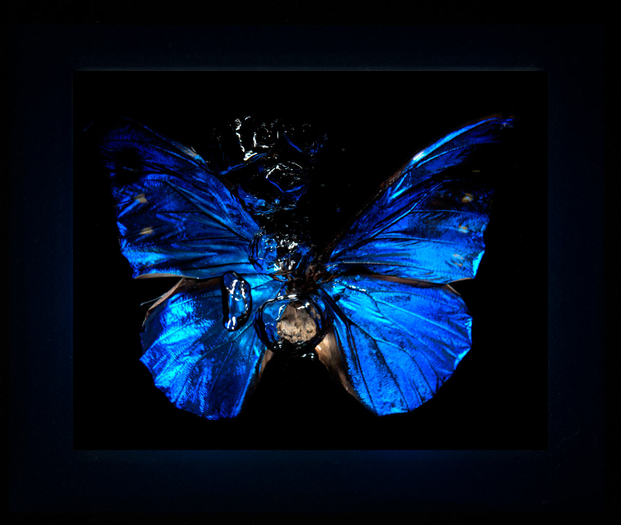 Transparency of a dream illuminated. Plate III photographic print - €6950 | Shop now & buy direct from the artists studio - Distil Ennui ™ est.1990.