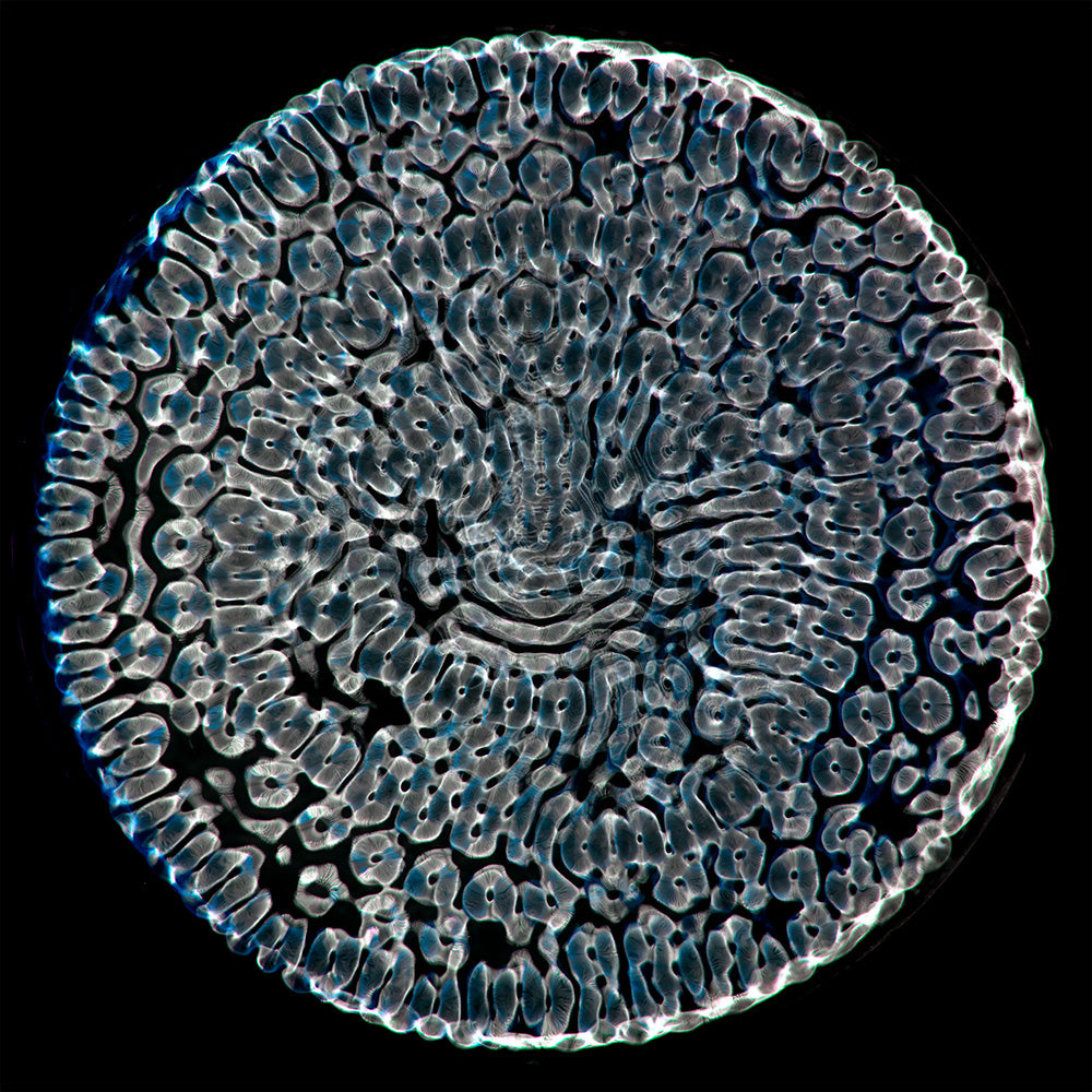 unique 25*25*4cms ceramic 'Vortex' framed photographic print 'Plate No. 0239' - €360 | Shop now & buy direct from the artists studio - Distil Ennui ™ est.1990.
