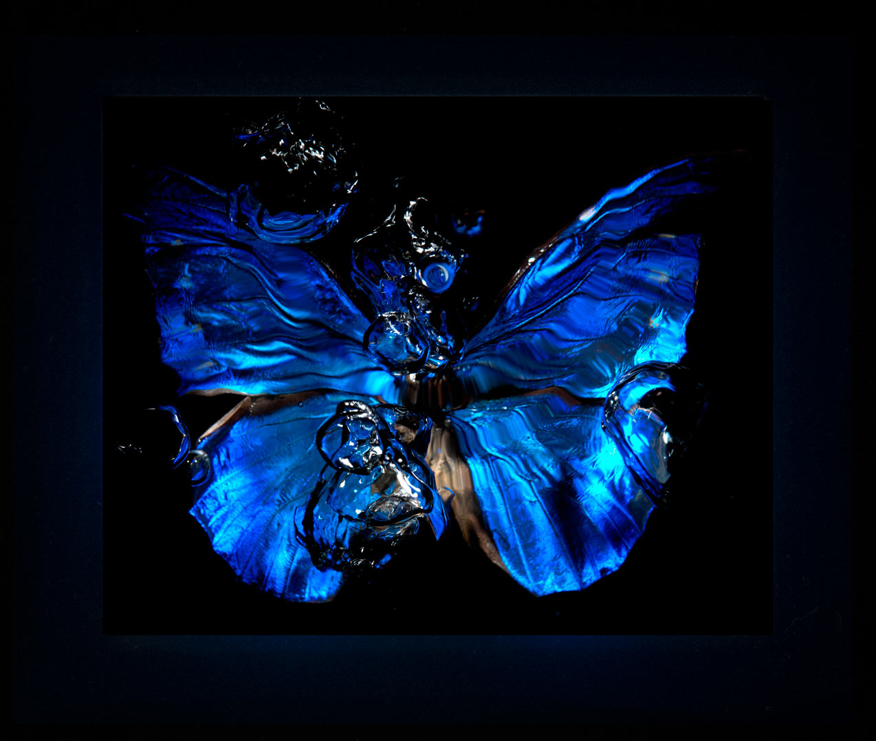 Transparency of a dream illuminated. Plate IV photographic print - €6950 | Shop now & buy direct from the artists studio - Distil Ennui ™ est.1990.