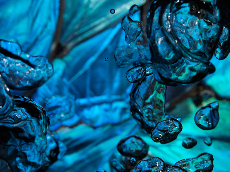 Ephemeral Bubbles: 50 Underwater Wonders of Vanitas Artistry