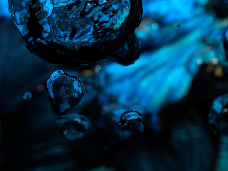 The Water Palette: Artworks with Bubbles and Butterfly Grace