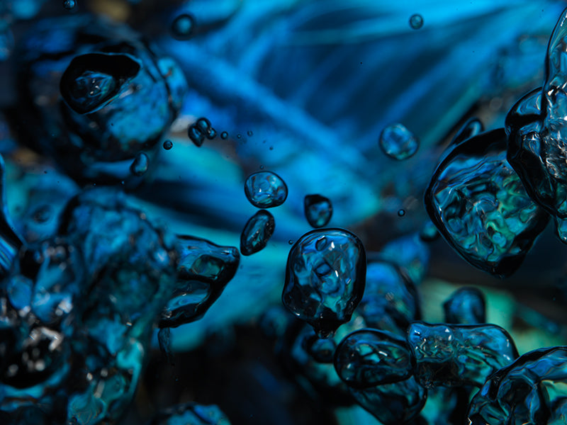 Vanitas Refracted: Blue Morpho Butterflies in Liquid Light and Bubbles
