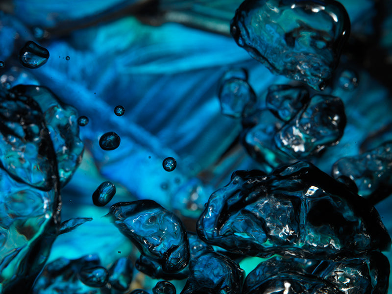 Butterfly Dreams: Vanitas in 50 Frames of Liquid Beauty and Bubbles