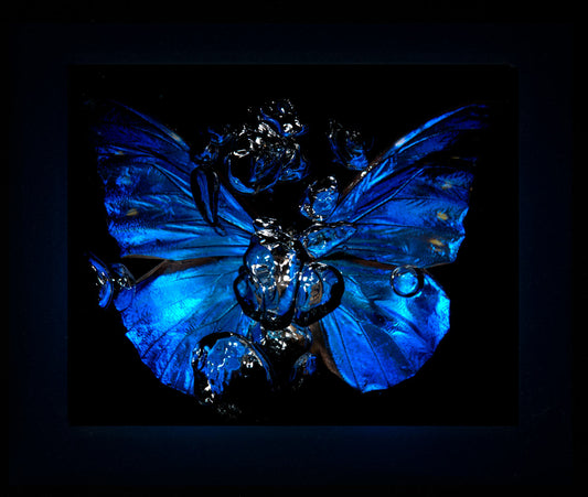 Transparency of a dream illuminated. Plate V  photographic print - €6950 | Shop now & buy direct from the artists studio - Distil Ennui ™ est.1990.