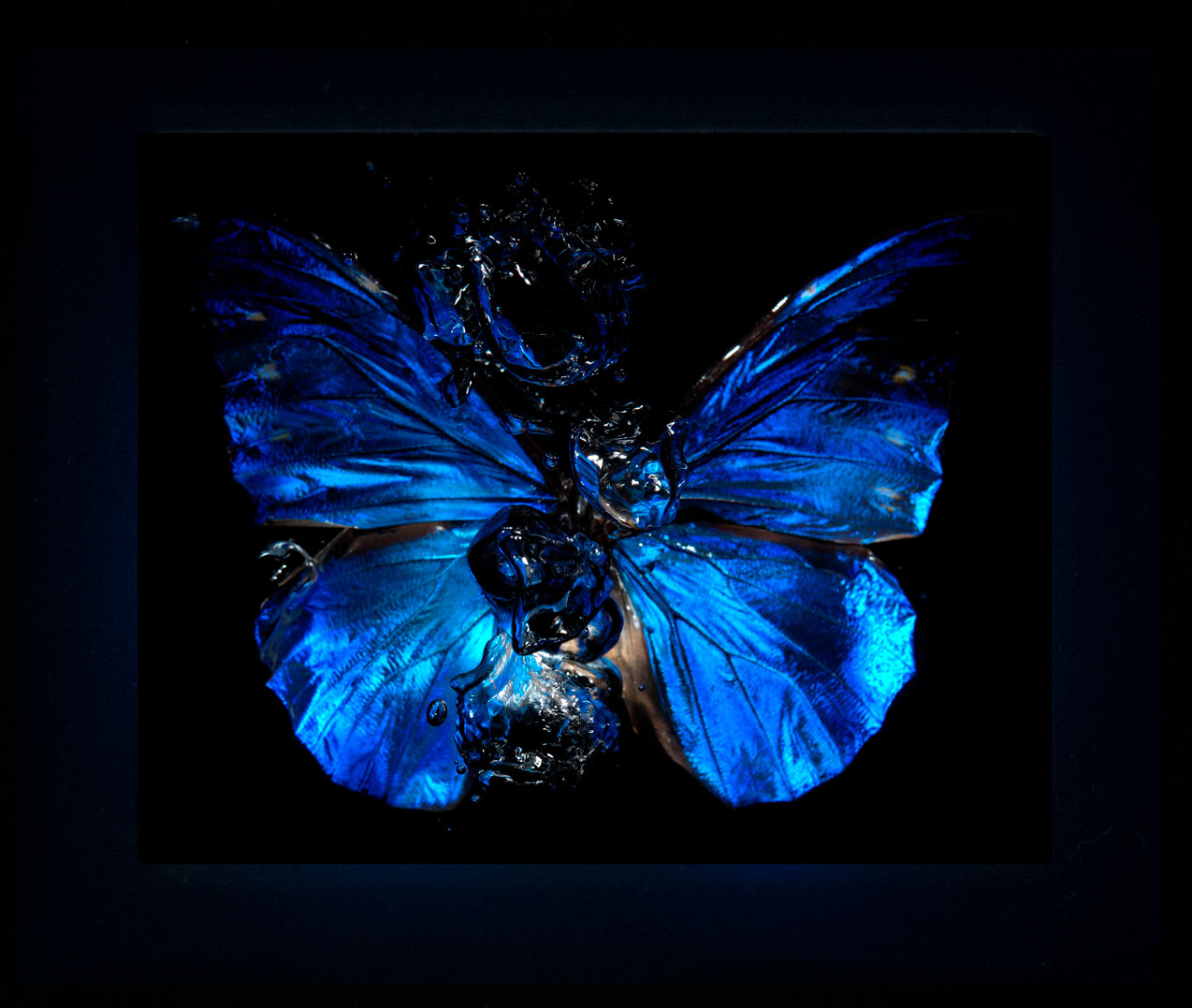 Transparency of a dream illuminated. Plate VI photographic print - €6950 | Shop now & buy direct from the artists studio - Distil Ennui ™ est.1990.