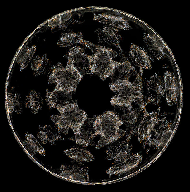 Einstein's Liquid Insight: Cymatics Photography and the Revelation of Gravitational Waves