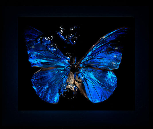 Transparency of a dream illuminated. Plate VIII  photographic print - €6950 | Shop now & buy direct from the artists studio - Distil Ennui ™ est.1990.