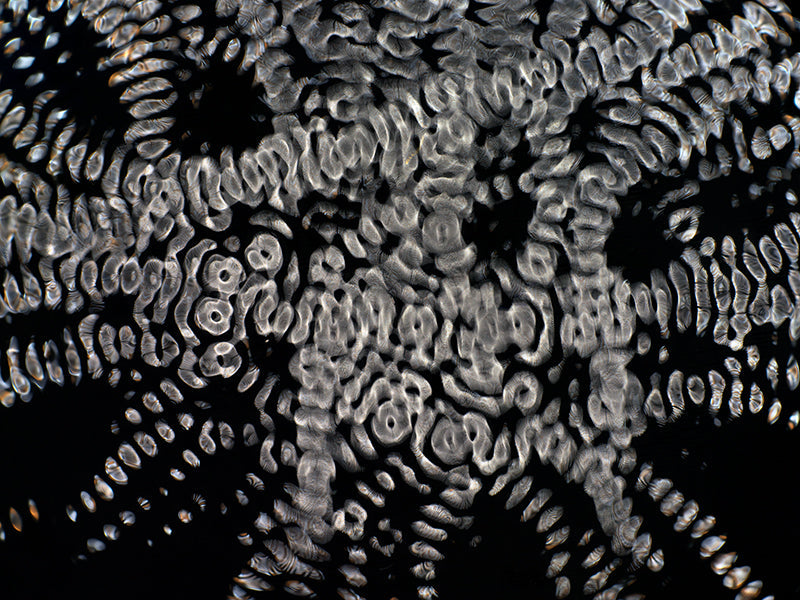 Cinematic Spectacle: Gravitational Waves Transformed in Cymatics Artistry