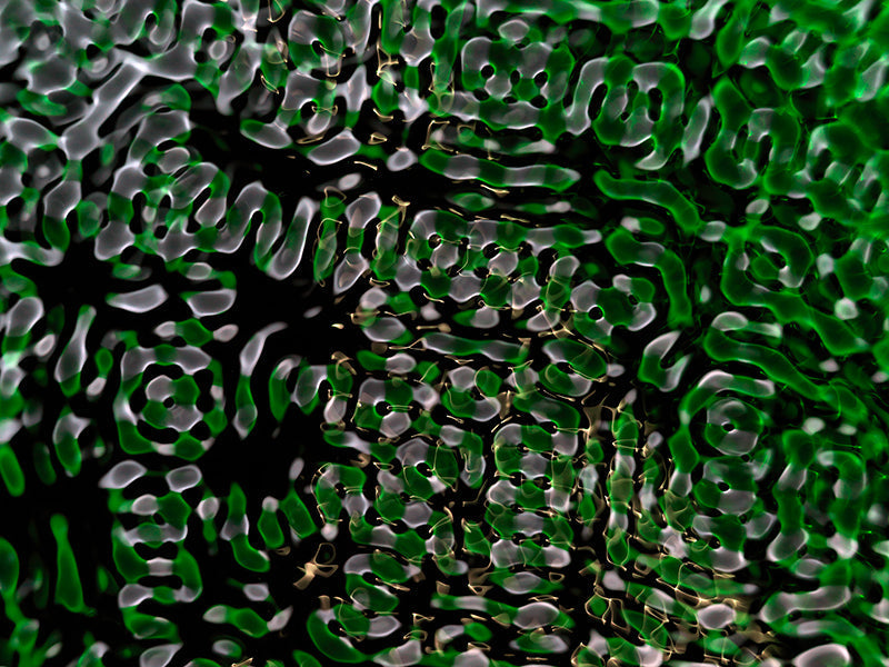 Imaginative photography for science publications