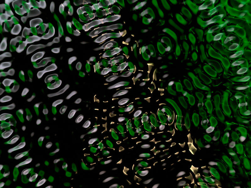 Wave Visions: Exploring the Universe through Gravitational Waves