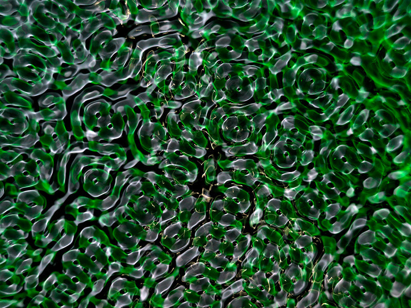 Cymatics photography portfolio for creatives