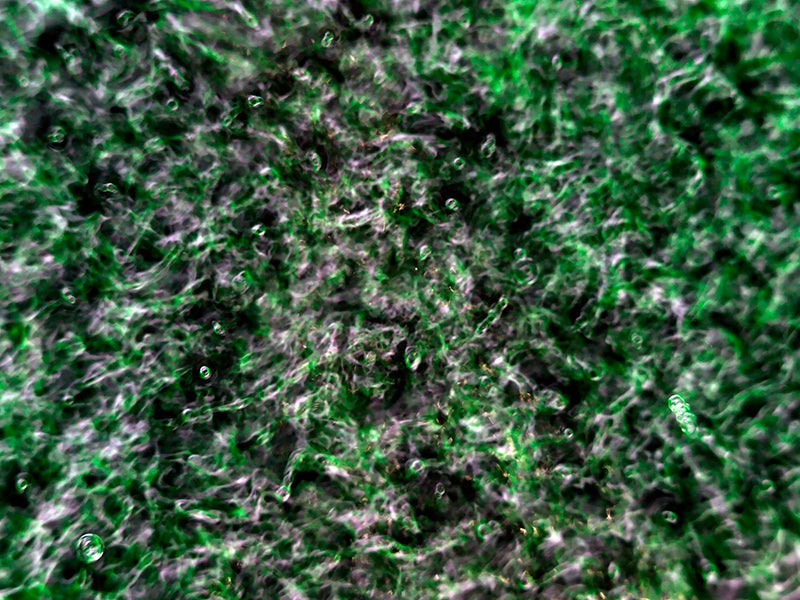 Artistic interpretations of wave theory