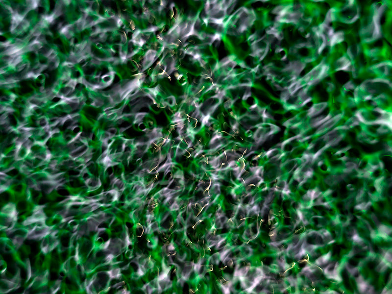 Imaginative einstein photography for science exhibitions