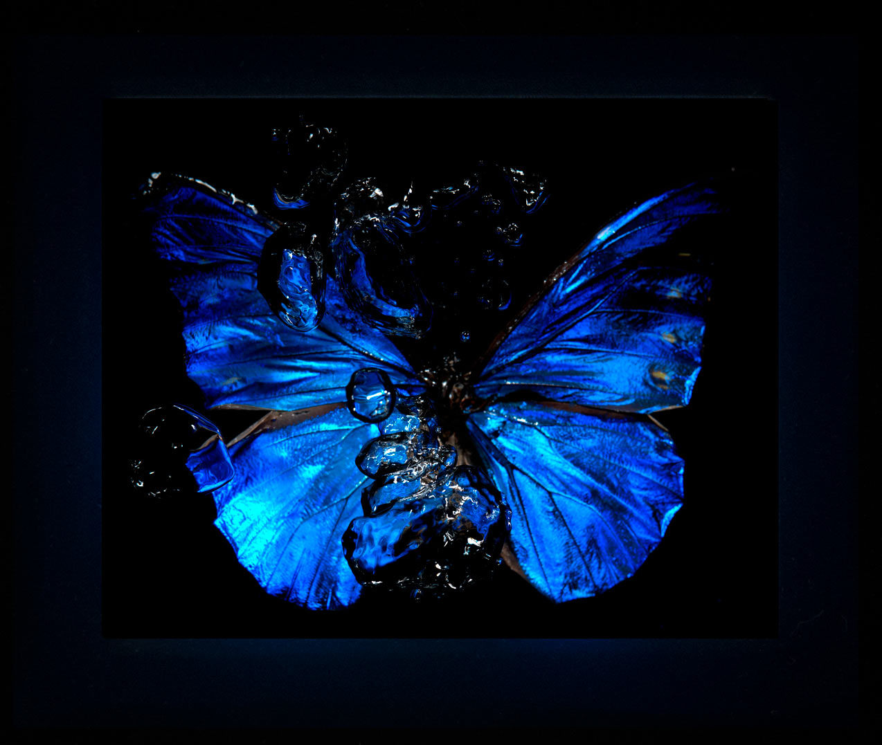 Transparency of a dream illuminated. Plate IX photographic print - €6950 | Shop now & buy direct from the artists studio - Distil Ennui ™ est.1990.