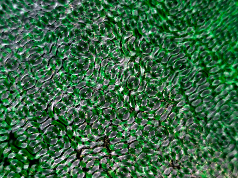 Visual storytelling with gravitational wave imagery