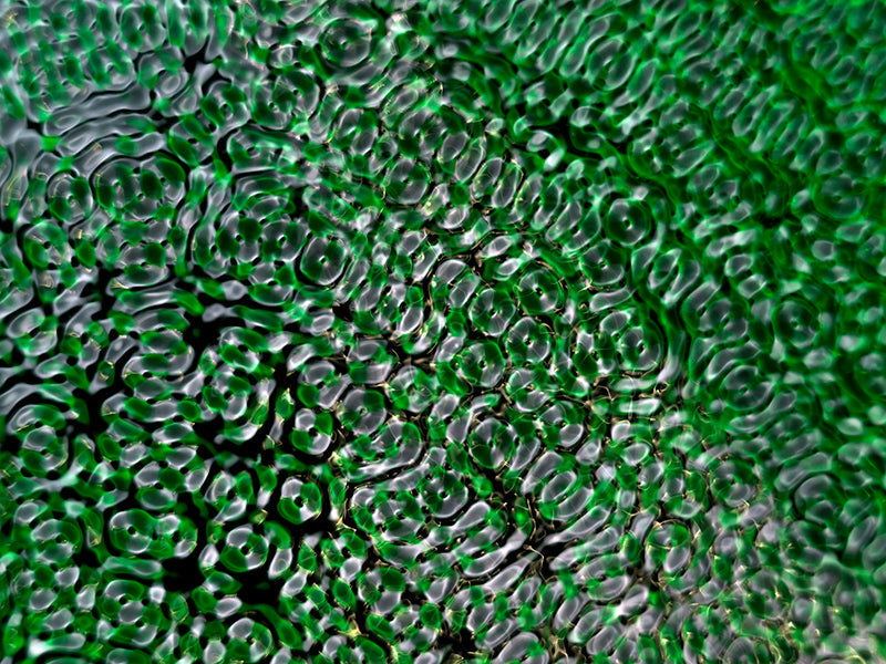 Cymatics artwork for educational presentations