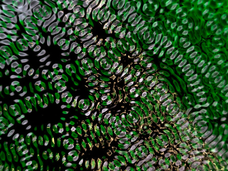 Creative concepts for science marketing campaigns