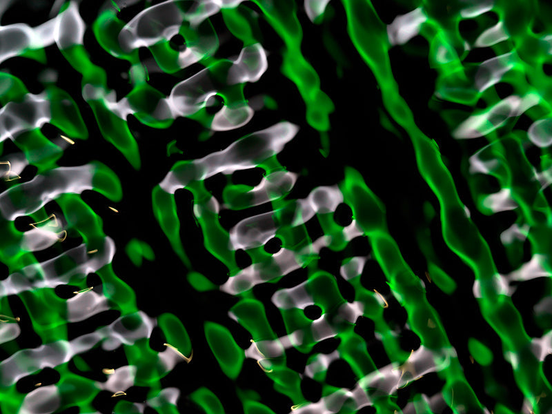 Cymatics photography portfolio for creatives