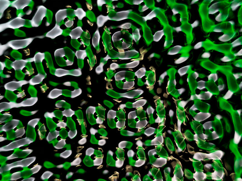 Captivating images of wave dynamics