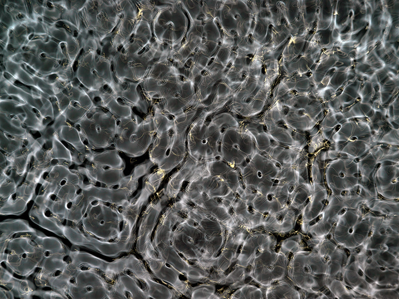 Inspiring artwork for science-themed designs