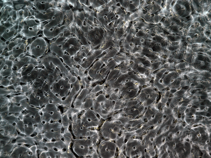 Innovative visuals for physics education