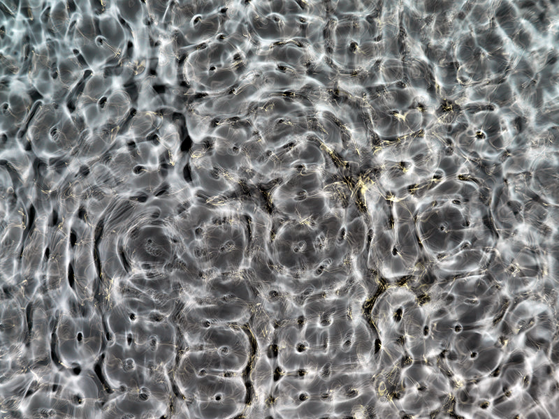 Artistic renderings of gravitational dynamics